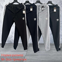 Штаны Спорт Hai H1554 d.grey - делук