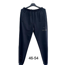 Штаны Спорт Tran TR715 navy - делук