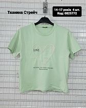 Футболка Amz 08252029 mint - делук