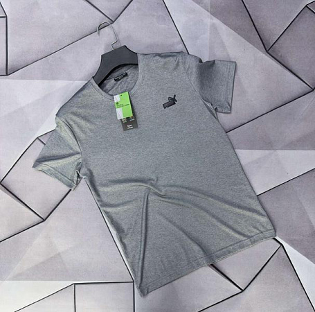 Футболка Rassul 66251 grey - делук