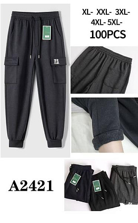 Штаны Спорт Giang A2412-1 black - делук