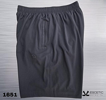 Шорты Azt AZ887-1651 grey - делук