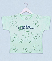 Футболка Dino DN409 mint - делук