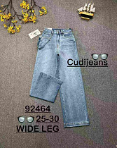 Джинсы Jeans Club 92464 l.blue - делук
