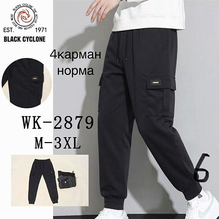 Штаны Спорт Giang 2879 black - делук