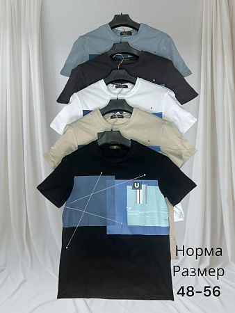 Футболка Hai H386 grey - делук