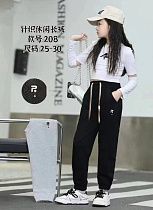 Штаны Спорт Chicwear 208 grey - делук