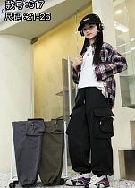Штаны Farbique 617 grey - делук