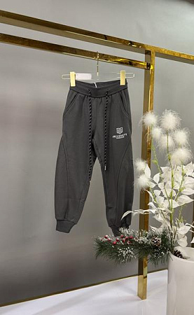 Штаны Спорт Delfinka 88160 grey - делук