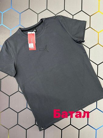 Футболка Alex Clothes 4121 grey - делук