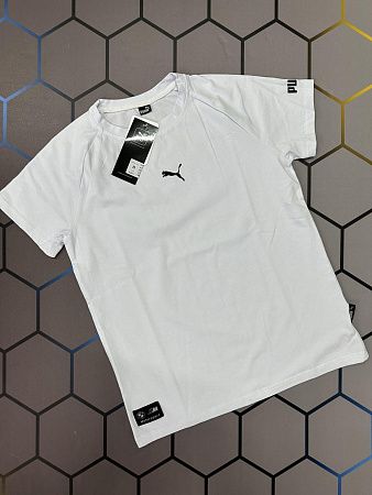 Футболка Alex Clothes 4002 white - делук