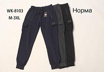 Штаны Спорт Hoan WK8103 black Штаны Спорт Hoan WK8103 black - делук