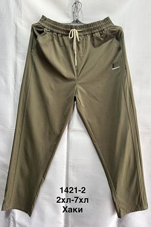 Штаны Спорт Minh 1412-2 khaki - делук