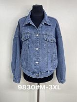 Куртка Jacket 9830 blue - делук