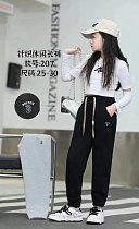 Штаны Спорт Farbique 207 grey - делук