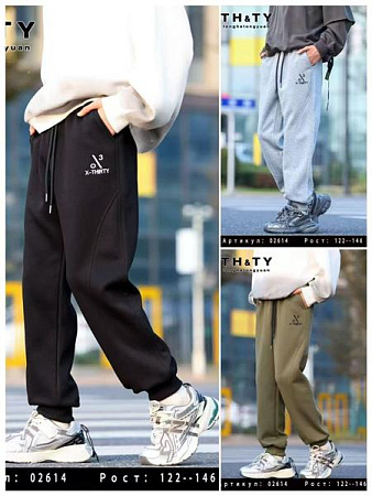 Штаны Спорт Delfinka 02614 khaki - делук