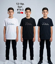 Футболка Amz T6-3 black-beige - делук