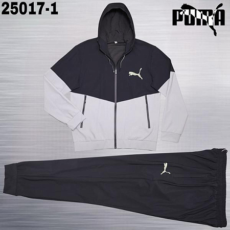Костюм Спорт Azt AZ1056-25017-1 grey - делук