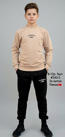 Костюм Спорт Amz 242-2 beige - делук