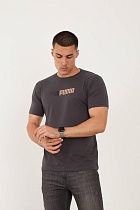 Футболка F.T.H F123 grey - делук