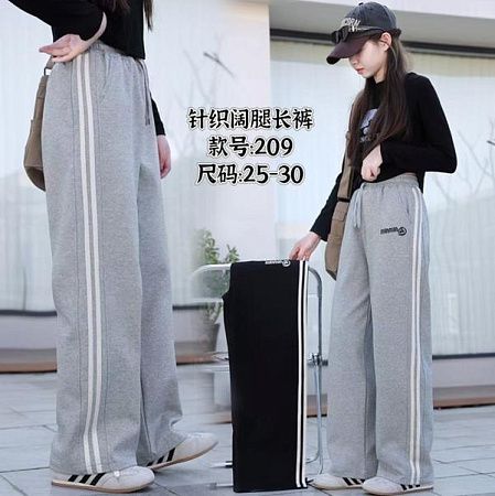 Штаны Спорт Chicwear 209 grey - делук