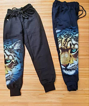 Штаны Спорт Meloria ML3548 navy - делук