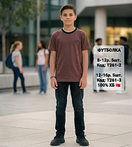Футболка Ibambino T261-3 brown-black - делук