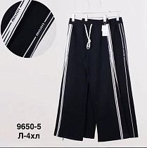 Штаны Спорт Minh 9650-5 black - делук