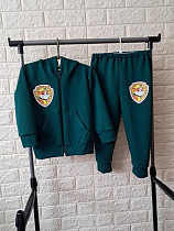 Костюм Спорт Proschenko PR1363 green - делук
