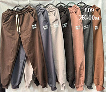 Штаны Спорт Shon Ж009M beige - делук