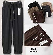 Штаны Спорт Minh 8821 brown - делук