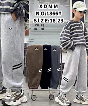 Штаны Спорт Farbique 1866 grey - делук
