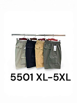 Шорты Liopt 5501 l.grey - делук