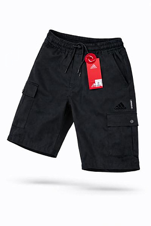 Шорты Alex Clothes 14096 black - делук