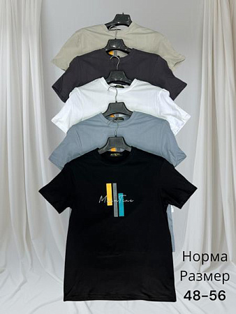 Футболка Hai H1463 white - делук