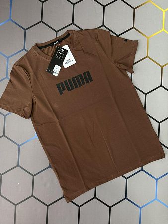 Футболка Alex Clothes 4372 brown - делук