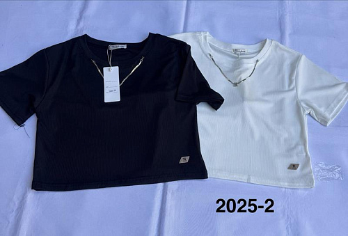 Футболка Minh 2025-2 mix - делук