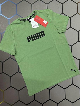 Футболка Alex Clothes 13884 green - делук