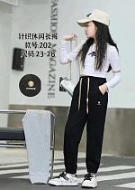 Штаны Спорт Chicwear 202 grey - делук
