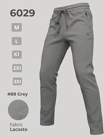 Штаны Спорт 2Bro 6029 grey - делук
