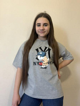 Футболка Moda School M528 grey - делук