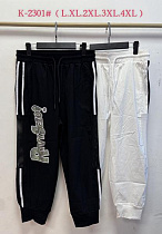 Штаны Спорт Saint Wish K2301 white - делук