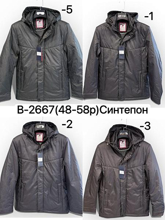 Куртка Liopt B2667-3 brown - делук