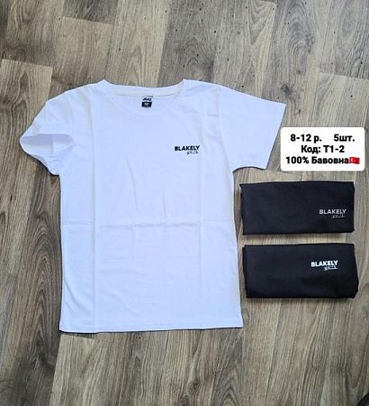 Футболка Amz T1-2 white - делук