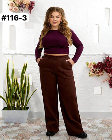 Штаны Спорт Bat 116-4 brown - делук