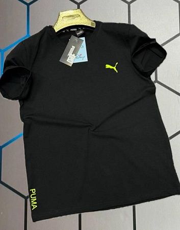 Футболка Alex Clothes 4491 black - делук
