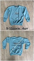 Свитшот Mmz M462 l.blue - делук