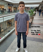 Футболка Ibambino T264-3 grey - делук