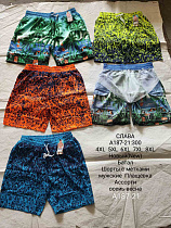 Шорты А187-21 - делук