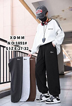 Штаны Спорт Farbique 1891 l.grey - делук
